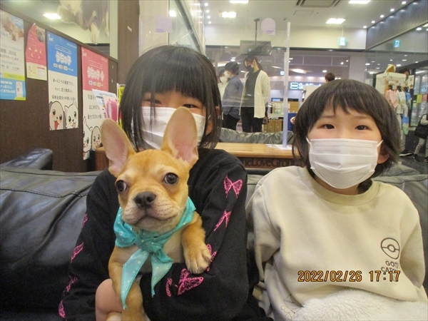 写真