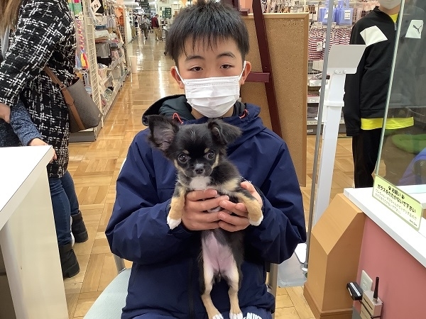 写真
