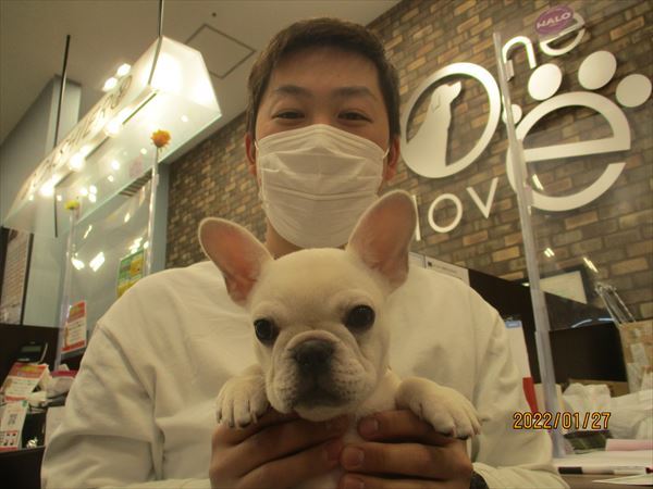 写真