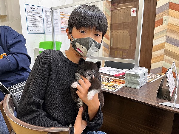 写真