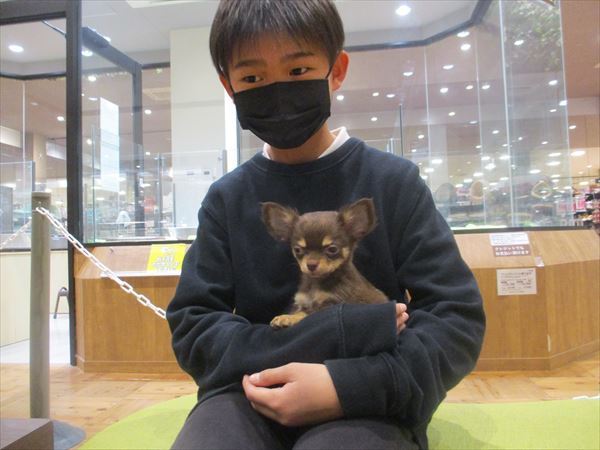 写真