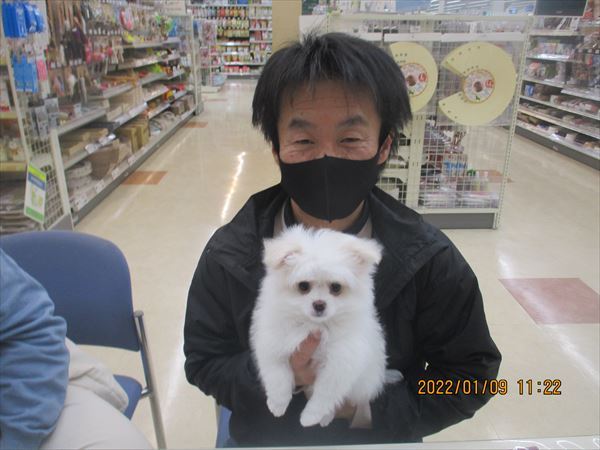 写真