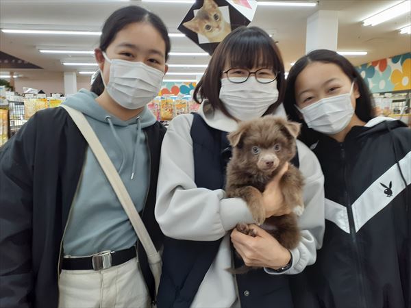 写真