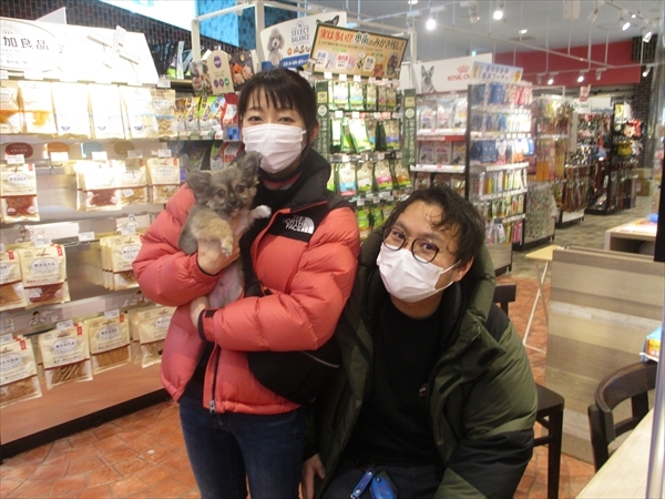 写真