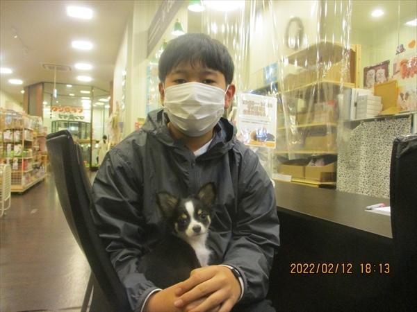 写真
