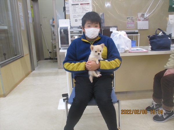 写真