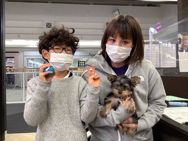写真