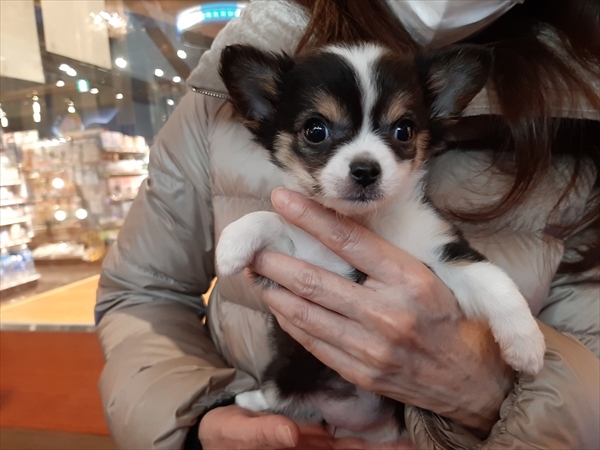 写真