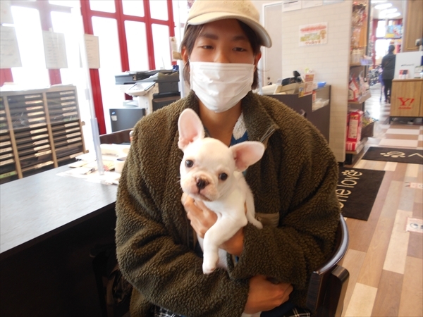 写真