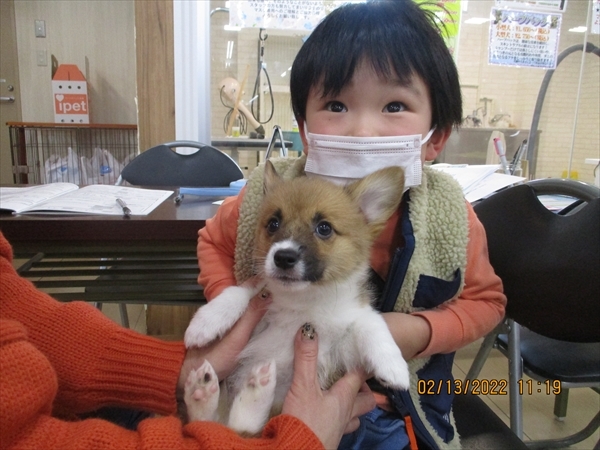 写真