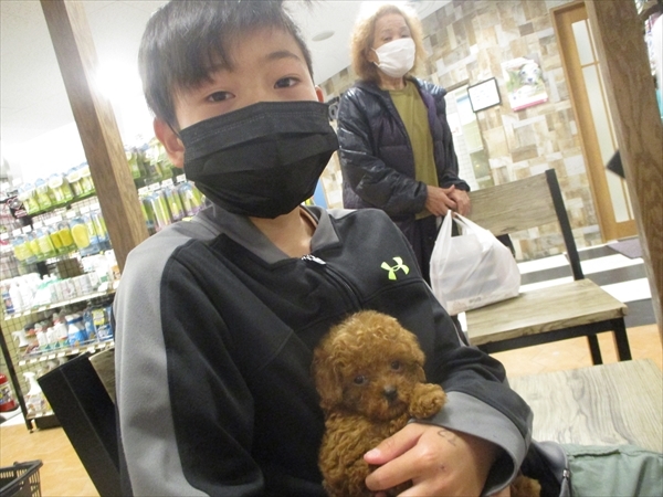 写真