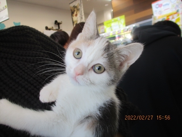 写真
