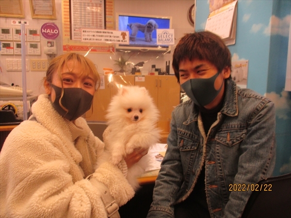 写真