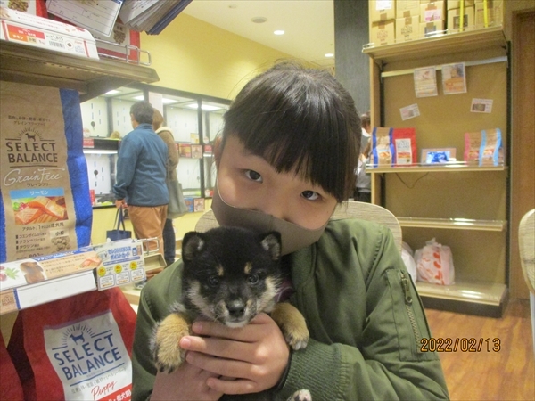 写真