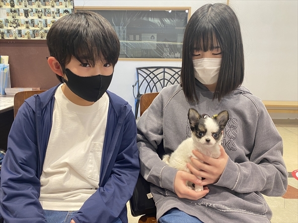 写真