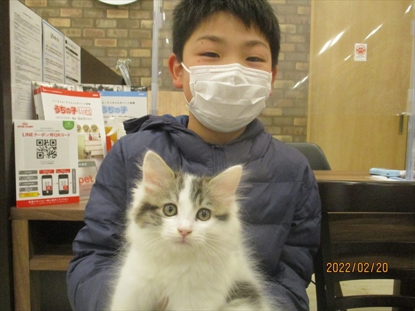 写真