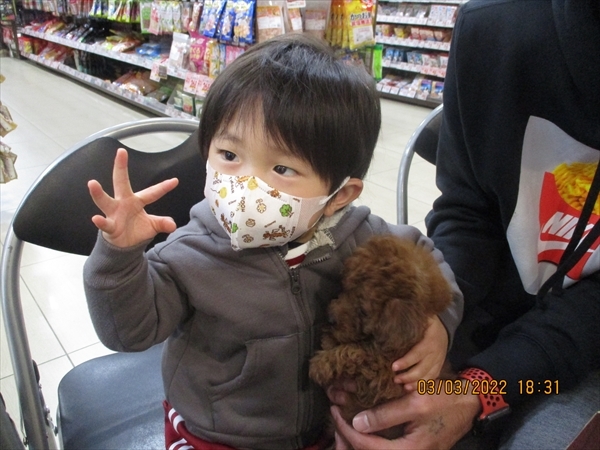 写真