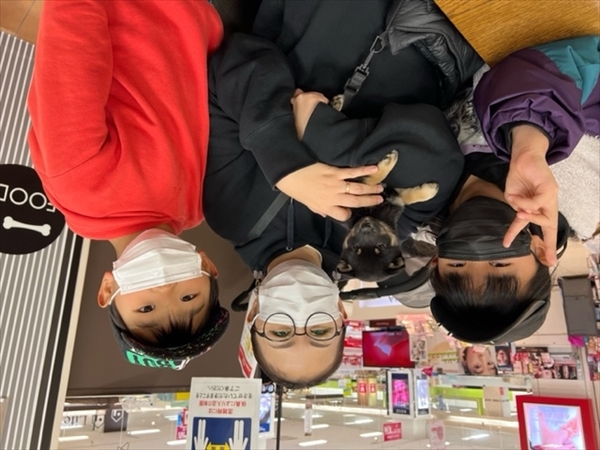 写真