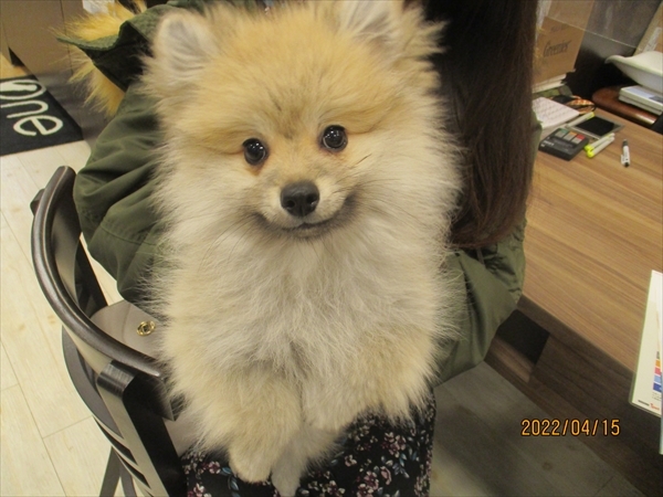 写真