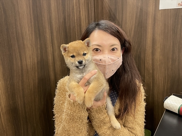 写真
