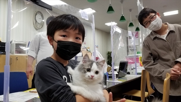 写真