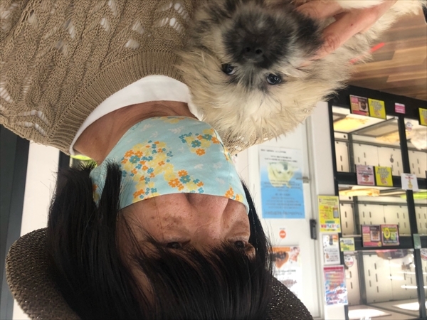 写真