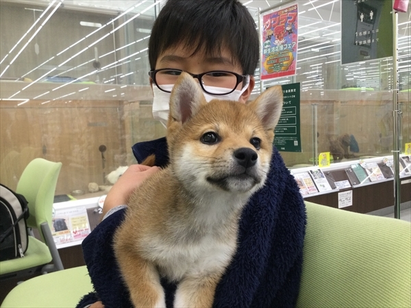 写真
