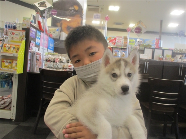 写真