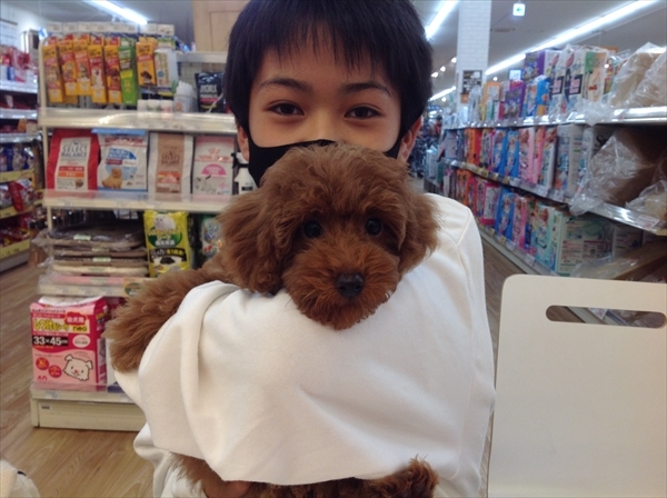 写真