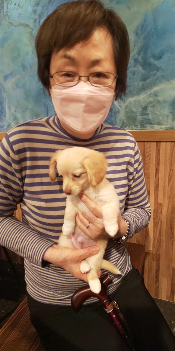 写真