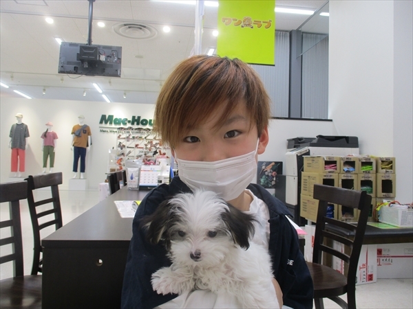 写真