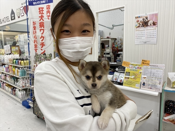 写真