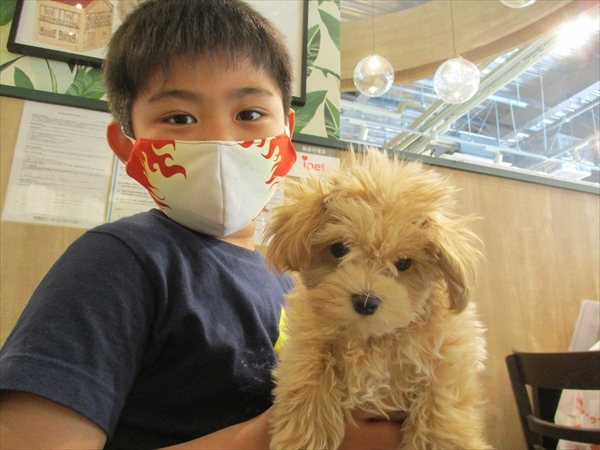 写真