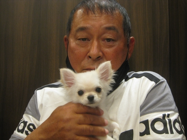 写真