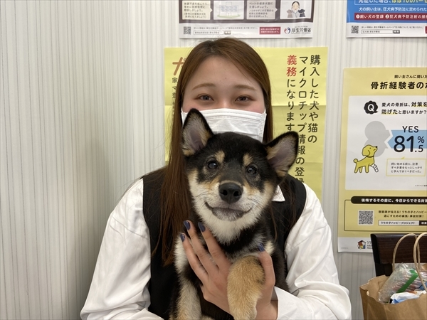 写真