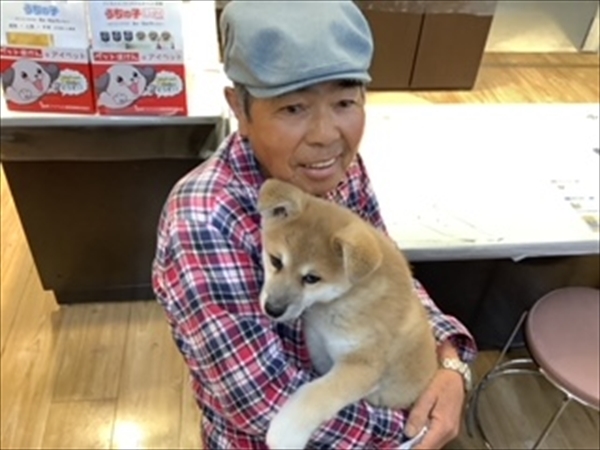 写真