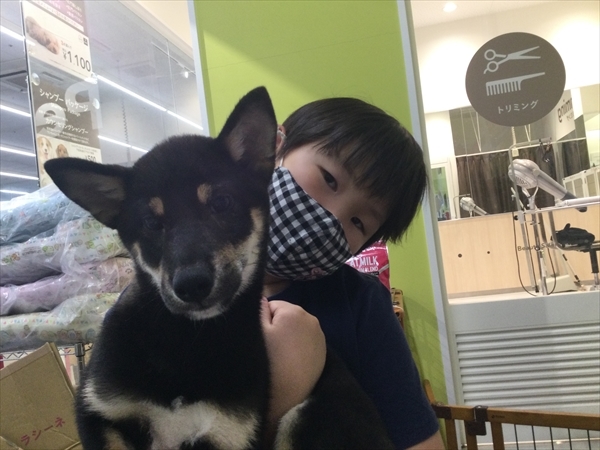 写真