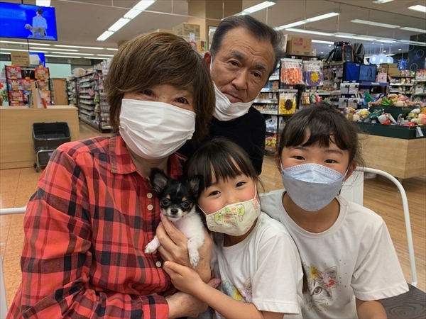 写真