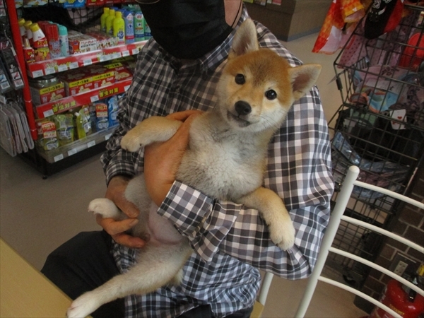 写真