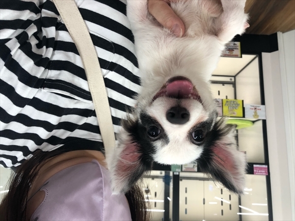 写真