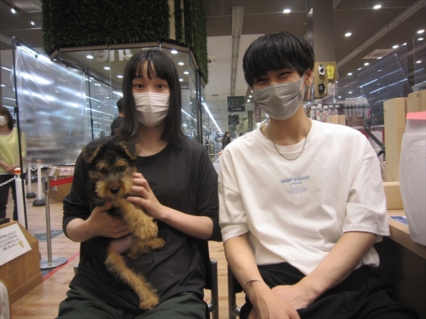 写真