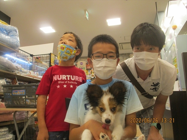 写真