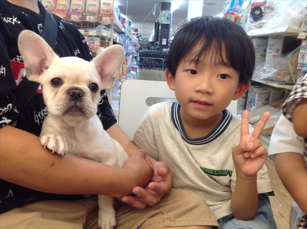 写真