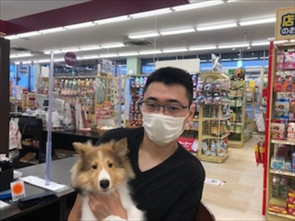 写真
