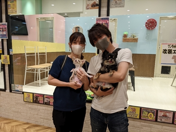 写真