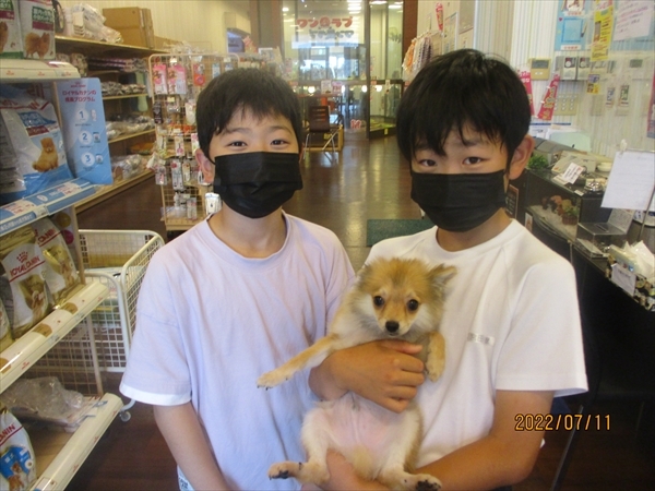 写真