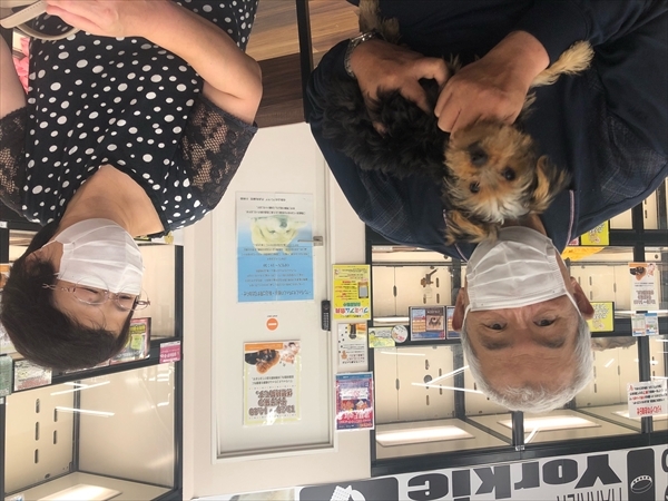 写真