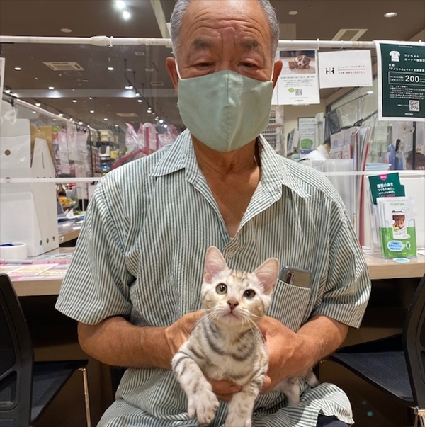 写真