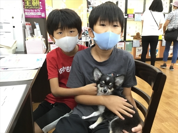 写真