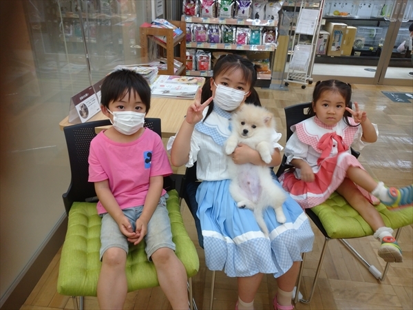 写真